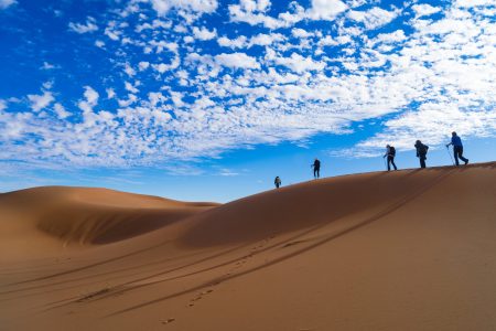 Desert Camel Trek From Marrakech 7 Days