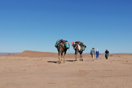 Camel Trek 4 Days From Marrakech