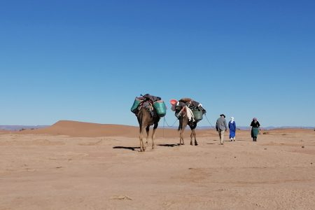 Camel Trek 4 Days From Marrakech